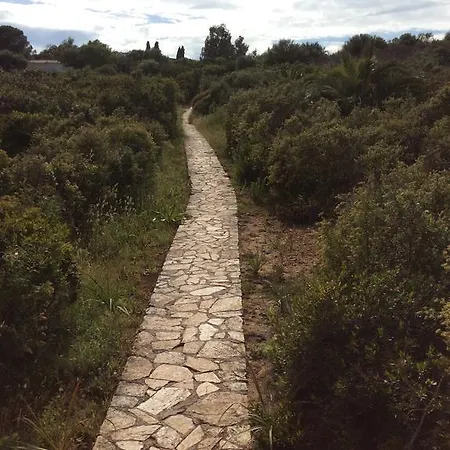 Terrata